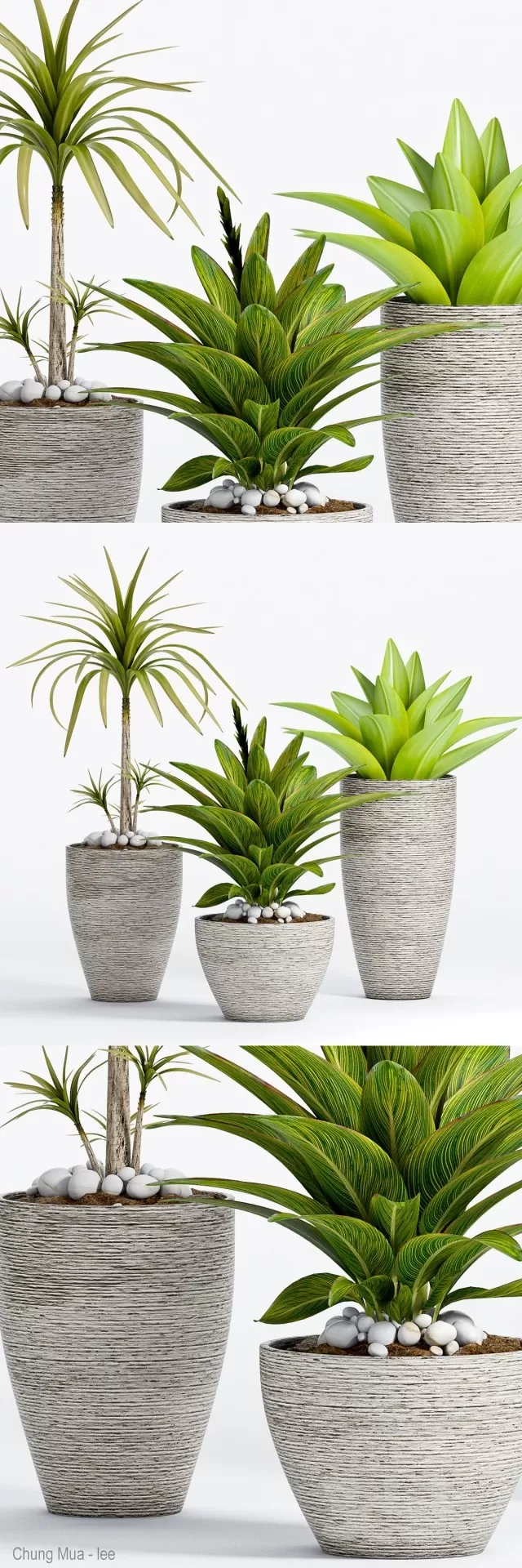 DECOR HELPER – PLANT – FLOOR 3D MODELS – 219