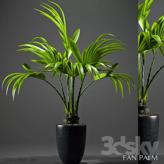 DECOR HELPER – PLANT – FLOOR 3D MODELS – 220