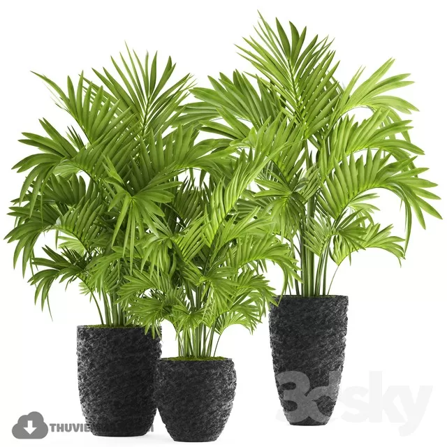 DECOR HELPER – PLANT – FLOOR 3D MODELS – 23