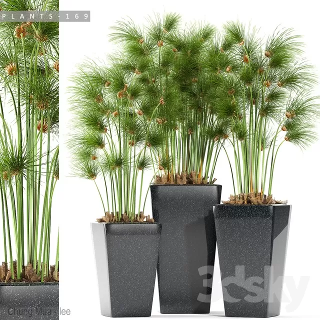 DECOR HELPER – PLANT – FLOOR 3D MODELS – 222