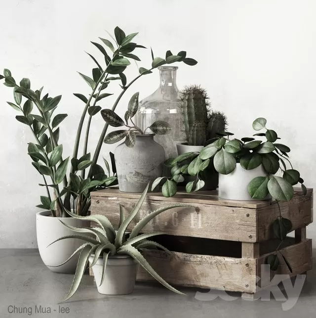 DECOR HELPER – PLANT – FLOOR 3D MODELS – 224