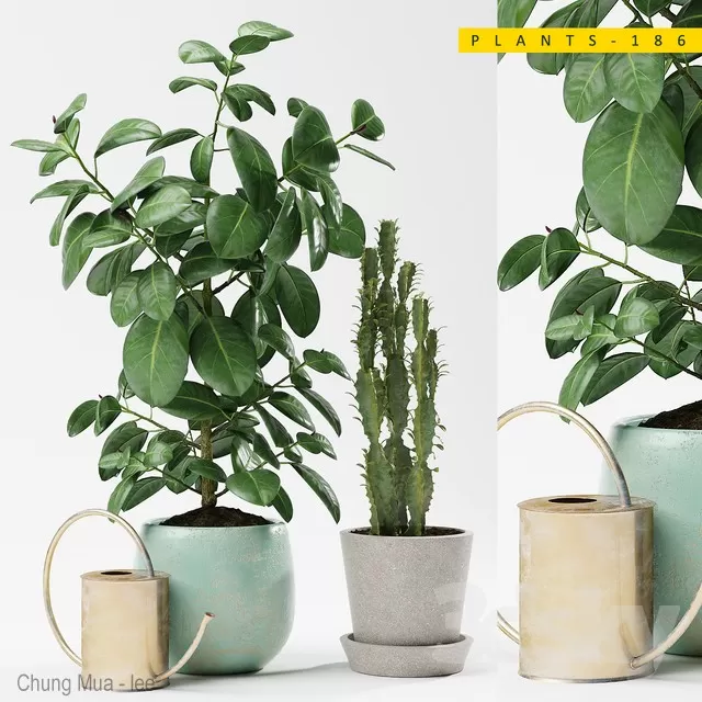 DECOR HELPER – PLANT – FLOOR 3D MODELS – 226