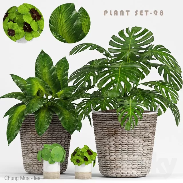 DECOR HELPER – PLANT – FLOOR 3D MODELS – 227