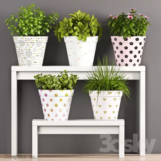 DECOR HELPER – PLANT – FLOOR 3D MODELS – 231