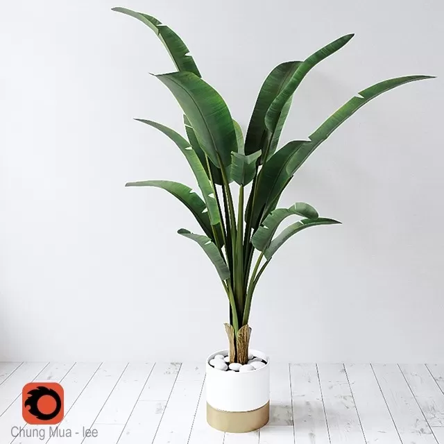 DECOR HELPER – PLANT – FLOOR 3D MODELS – 237