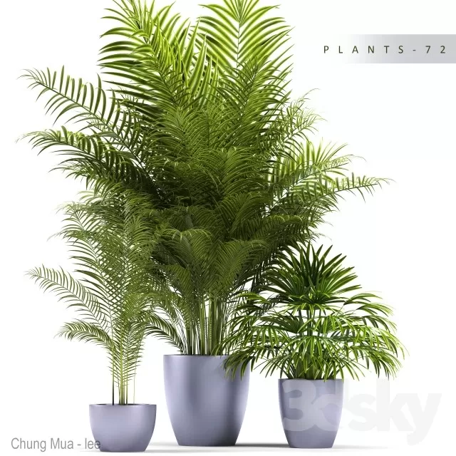 DECOR HELPER – PLANT – FLOOR 3D MODELS – 239