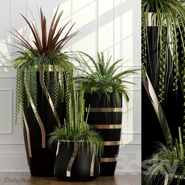 DECOR HELPER – PLANT – FLOOR 3D MODELS – 240