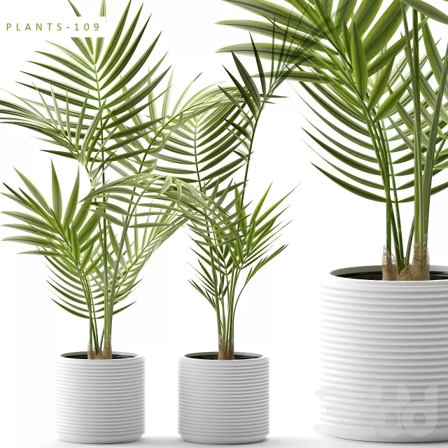 DECOR HELPER – PLANT – FLOOR 3D MODELS – 4