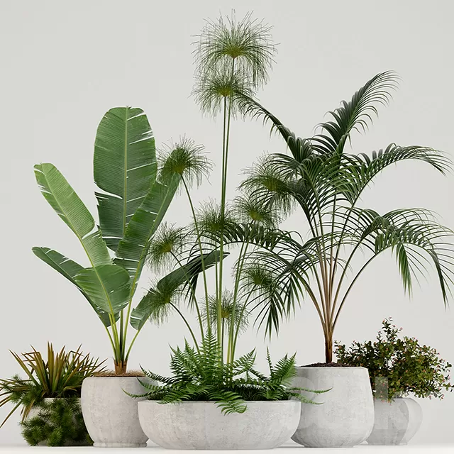 DECOR HELPER – PLANT – FLOOR 3D MODELS – 35