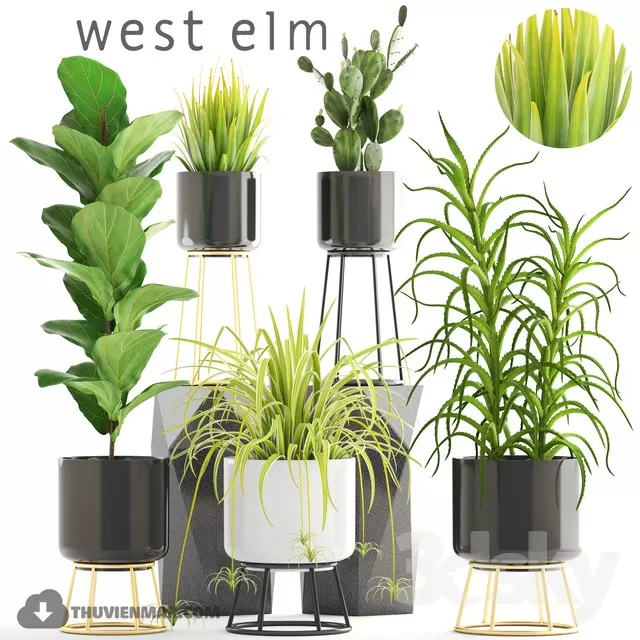 DECOR HELPER – PLANT – FLOOR 3D MODELS – 36