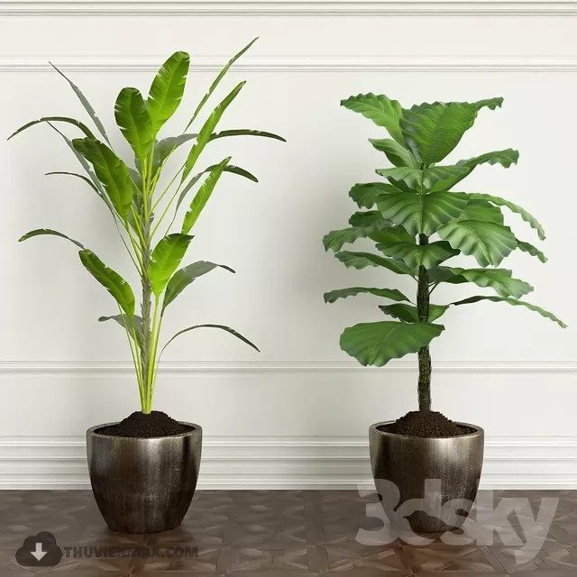 DECOR HELPER – PLANT – FLOOR 3D MODELS – 38