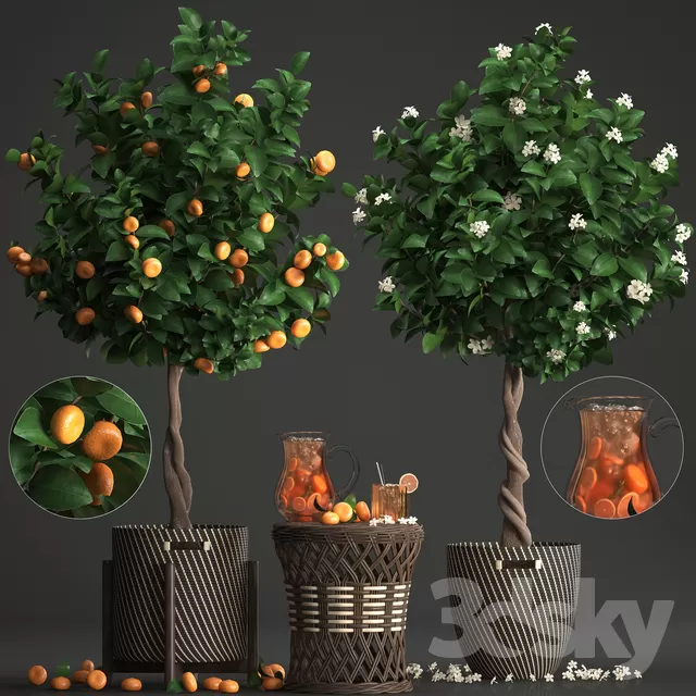 DECOR HELPER – PLANT – FLOOR 3D MODELS – 43