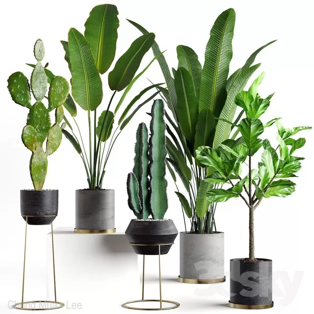 DECOR HELPER – PLANT – FLOOR 3D MODELS – 48