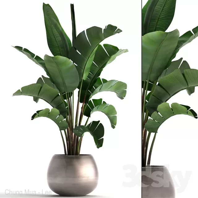 DECOR HELPER – PLANT – FLOOR 3D MODELS – 49