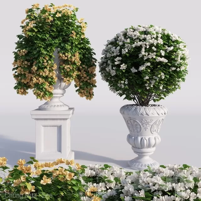 DECOR HELPER – PLANT – FLOOR 3D MODELS – 52