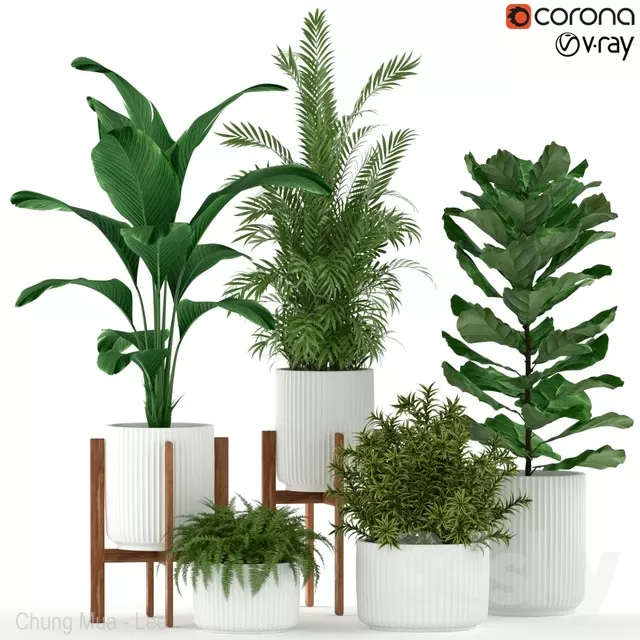 DECOR HELPER – PLANT – FLOOR 3D MODELS – 68