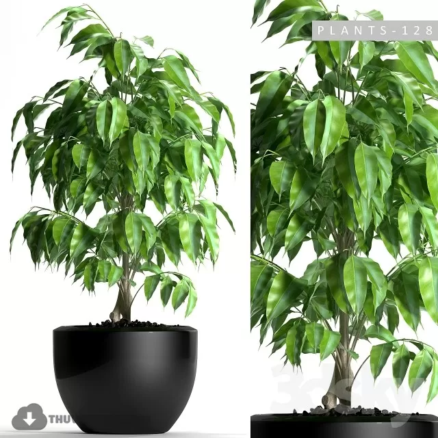 DECOR HELPER – PLANT – FLOOR 3D MODELS – 8