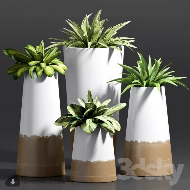 DECOR HELPER – PLANT – FLOOR 3D MODELS – 76