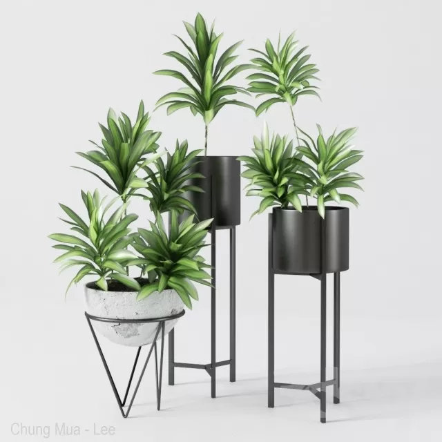 DECOR HELPER – PLANT – FLOOR 3D MODELS – 80
