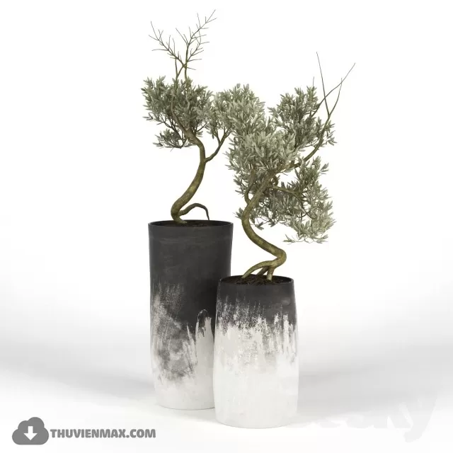 DECOR HELPER – PLANT – FLOOR 3D MODELS – 81