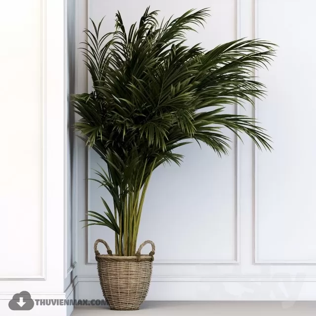 DECOR HELPER – PLANT – FLOOR 3D MODELS – 82