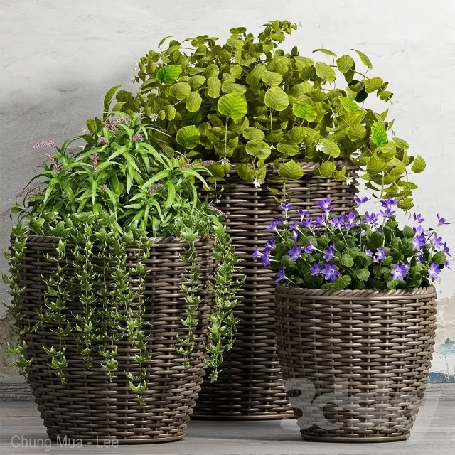 DECOR HELPER – PLANT – FLOOR 3D MODELS – 83