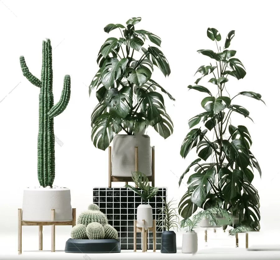 DECOR HELPER – PLANT – FLOOR 3D MODELS – 85