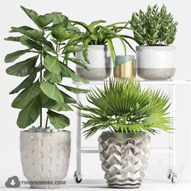 DECOR HELPER – PLANT – FLOOR 3D MODELS – 87