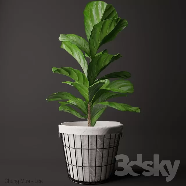 DECOR HELPER – PLANT – FLOOR 3D MODELS – 89