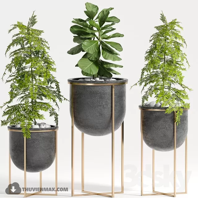 DECOR HELPER – PLANT – FLOOR 3D MODELS – 10