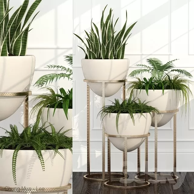 DECOR HELPER – PLANT – FLOOR 3D MODELS – 92