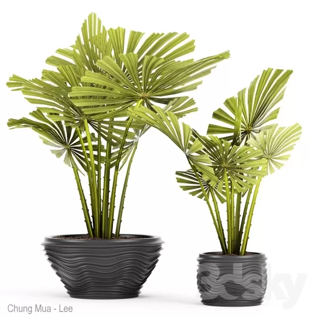 DECOR HELPER – PLANT – FLOOR 3D MODELS – 99