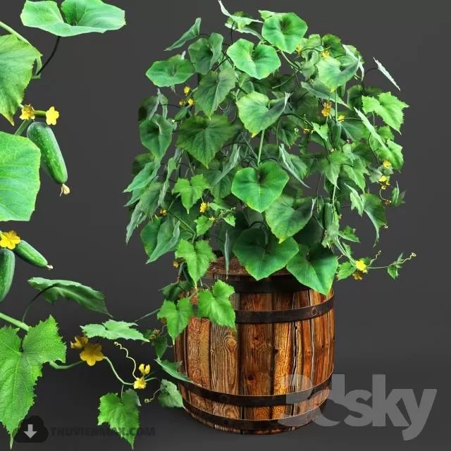 DECOR HELPER – PLANT – FLOOR 3D MODELS – 100