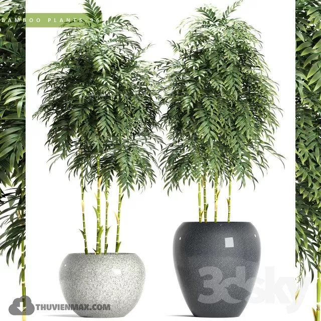 DECOR HELPER – PLANT – FLOOR 3D MODELS – 1