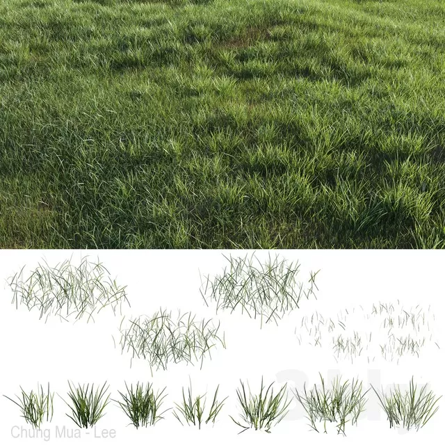 DECOR HELPER – PLANT – GRASS 3D MODELS – 4