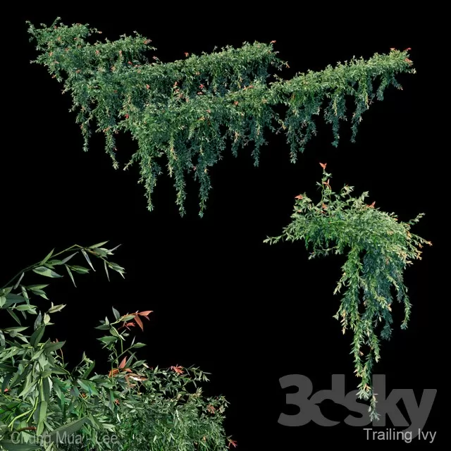 DECOR HELPER – PLANT – WALL 3D MODELS – 20