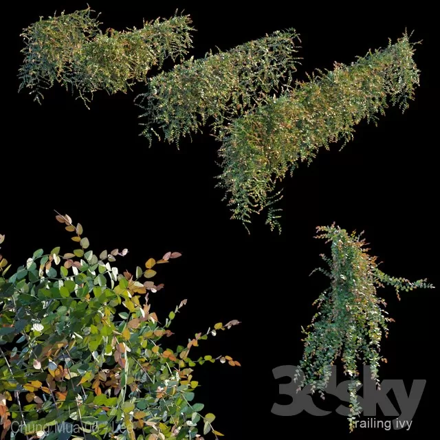DECOR HELPER – PLANT – WALL 3D MODELS – 31