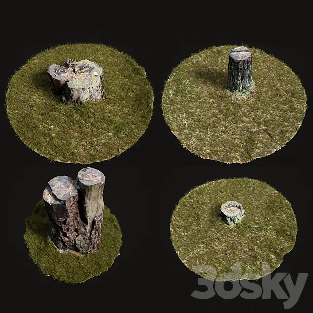 4 stump and grass 3D Model