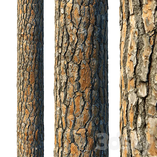 4k Pine Bark Material 03 3D Model