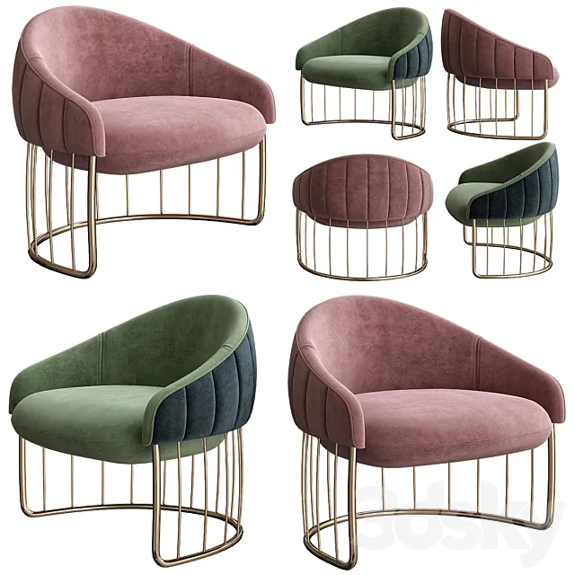 5 3D Model 5 3D Model