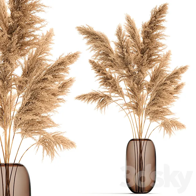 A beautiful lush bouquet of dried flowers in a vase with dry branches of pampas Cortaderia reed. 140. 3D Model A beautiful lush bouquet of dried flowers in a vase with dry branches of pampas Cortaderia reed. 140. 3D Model