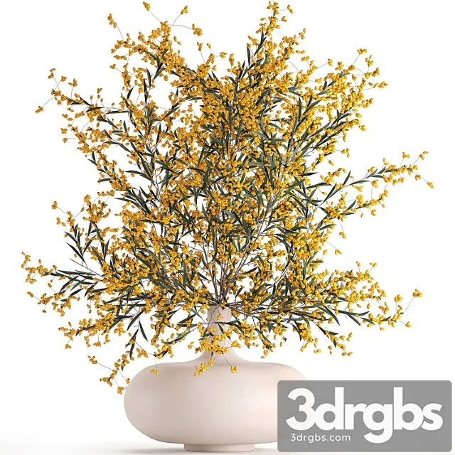 A beautiful lush little bouquet in a vase with branches of yellow sea buckthorn berries. set 96. A beautiful lush little bouquet in a vase with branches of yellow sea buckthorn berries. set 96.