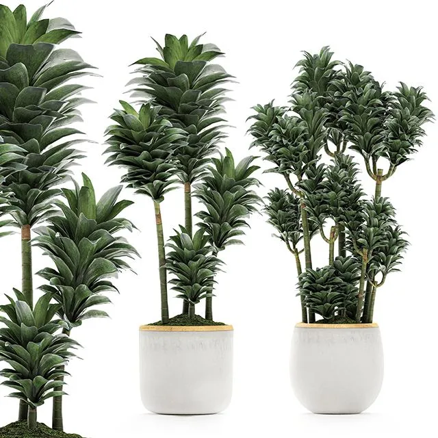 A beautiful small decorative flower Set 533 3D Model A beautiful small decorative flower Set 533 3D Model