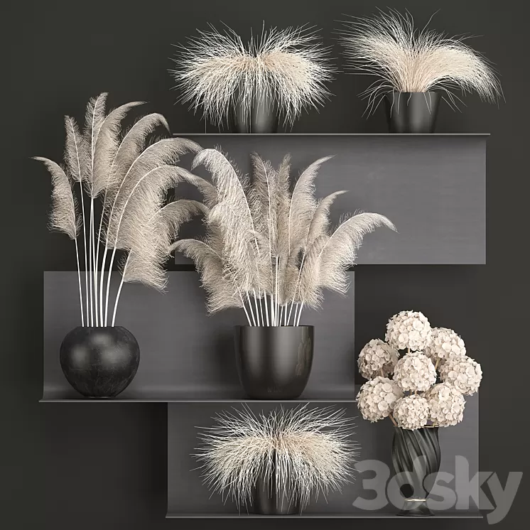 A bouquet of dried flowers 91. White Pampas grass branches vase reeds dried flowers dry decor black shelf loft metal 3D Model