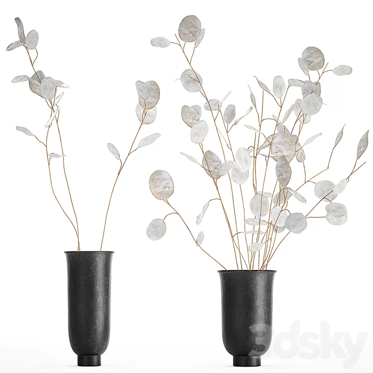 A bouquet of dried flowers in a black vase with branches of a dry Lunnik. 178. 3D Model A bouquet of dried flowers in a black vase with branches of a dry Lunnik. 178. 3D Model