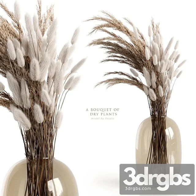 A bouquet of dry plants A bouquet of dry plants