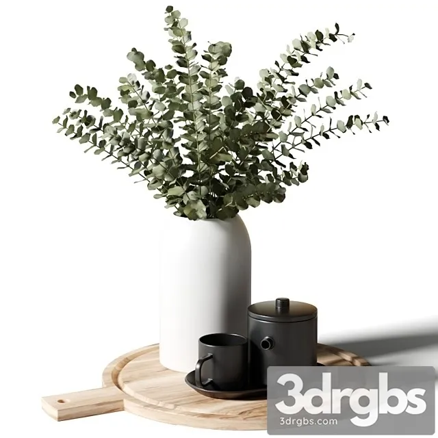 A bouquet of Eucalyptus in a White Vase 3D Model Download