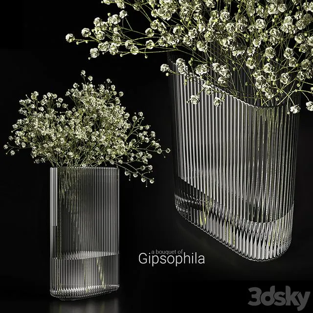 A bouquet of gypsophila 3D Model