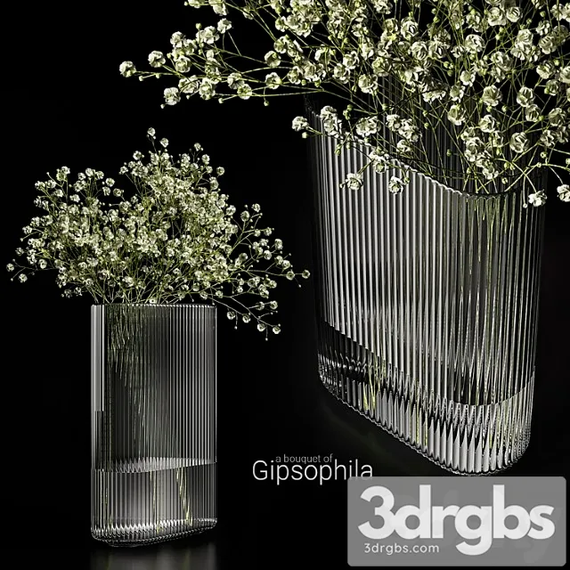 A bouquet of gypsophila A bouquet of gypsophila