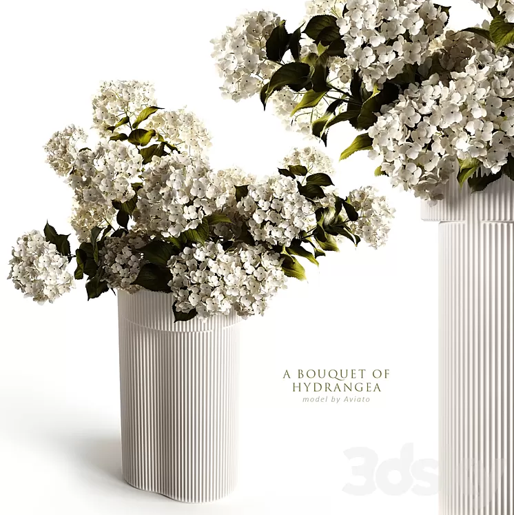 A bouquet of hydrangea 2 3D Model A bouquet of hydrangea 2 3D Model